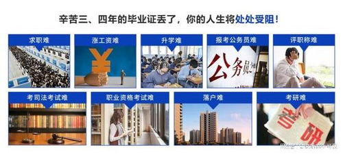 2025年北京檔案存放服務(wù)指南 升職貓全程跟進(jìn)，助力信息咨詢